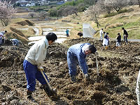 2月の農作業
