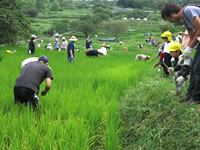 生物教室