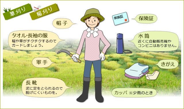 草刈り 棚田いこうよ Net せんがまちの棚田の年間イベント 農作業の様子