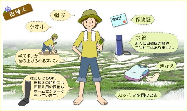 田植え/帽子,半ズボンか裾の上げられるズボン,裸足または田植え用の長靴,保険証,水筒,きがえ,カッパ(少雨のとき)