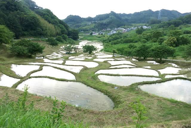 現在のせんがまち