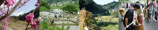 農作業の様子