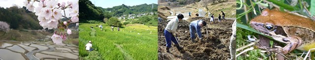 棚田保全活動の風景