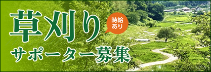 棚田草刈りサポーター募集中