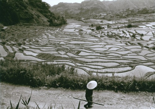 300棚田　昭和４０年代