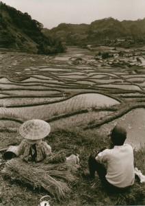 昭和40年代の棚田