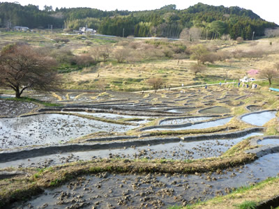 畔塗りの様子