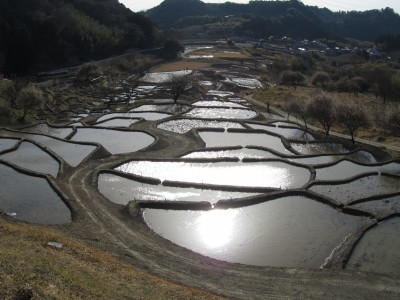 菊川 氾濫