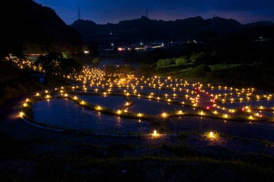 2011あぜ道アート2