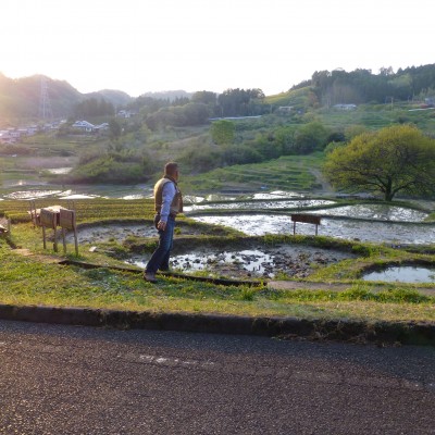 P1010777棚田の夕日