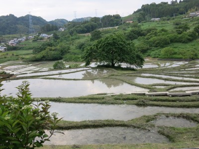 IMG_5395世界農業遺産