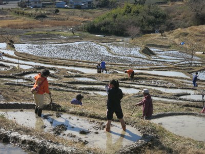 田起こし