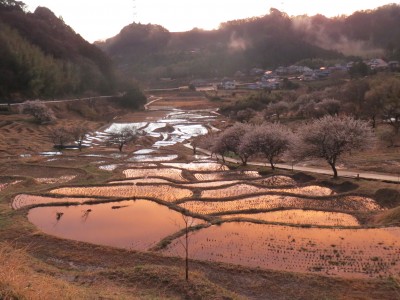 夕焼け