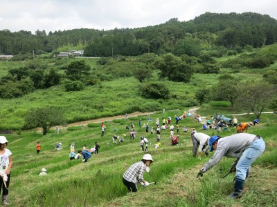 草刈り作業