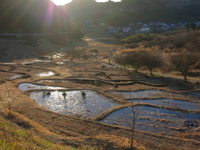 通水始め