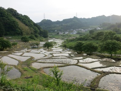 代掻き終了