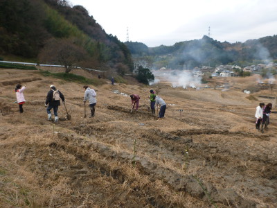 畦の補修作業