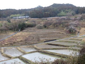 棚田周辺の整備