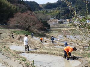 田起こし作業２