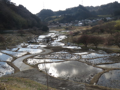 田起こし作業１