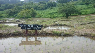 サタハピしずおかの田んぼ