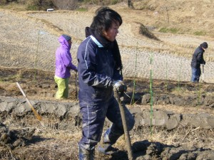 昨年の作業の様子