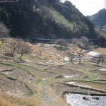 今日もきれいなせんがまち