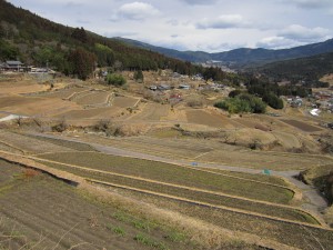 坂折の棚田は広い！