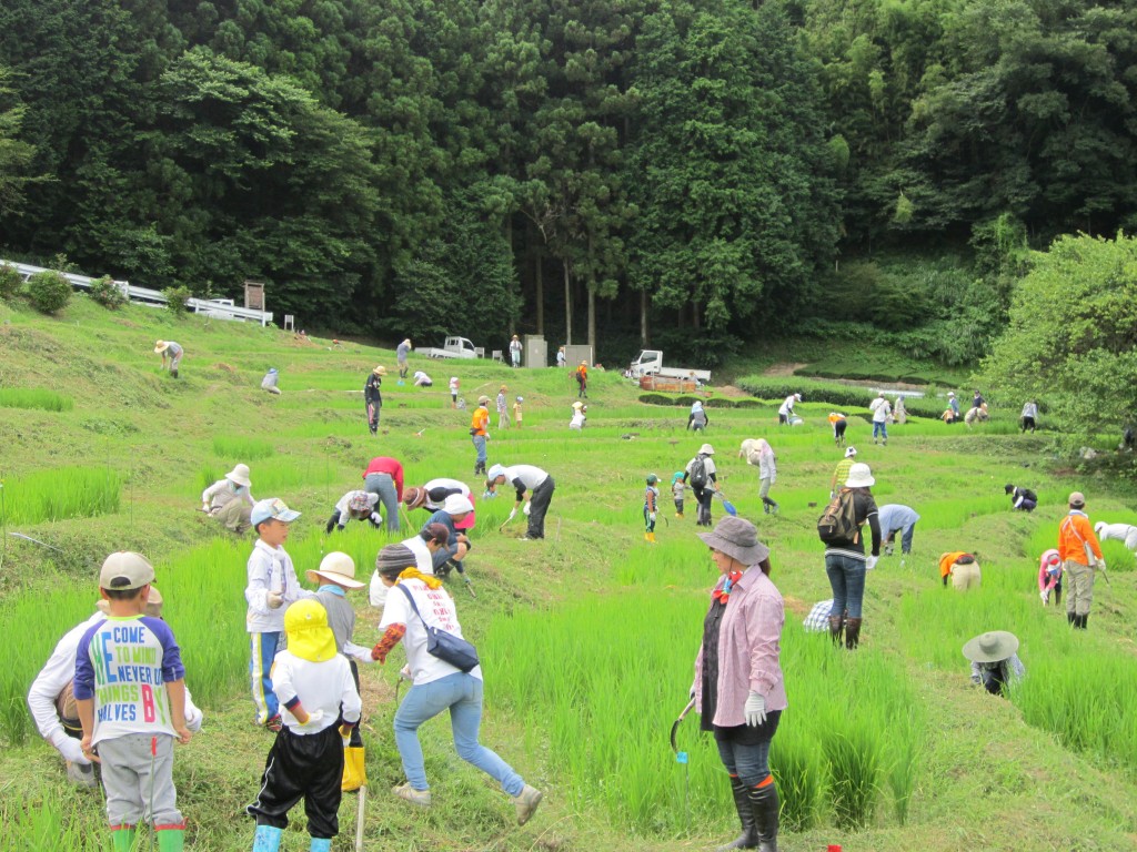 草刈り