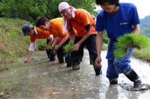 2015530 田植え_2671