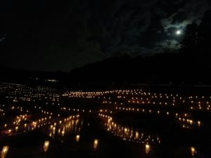 2017311 あぜ道アート_170313_0150